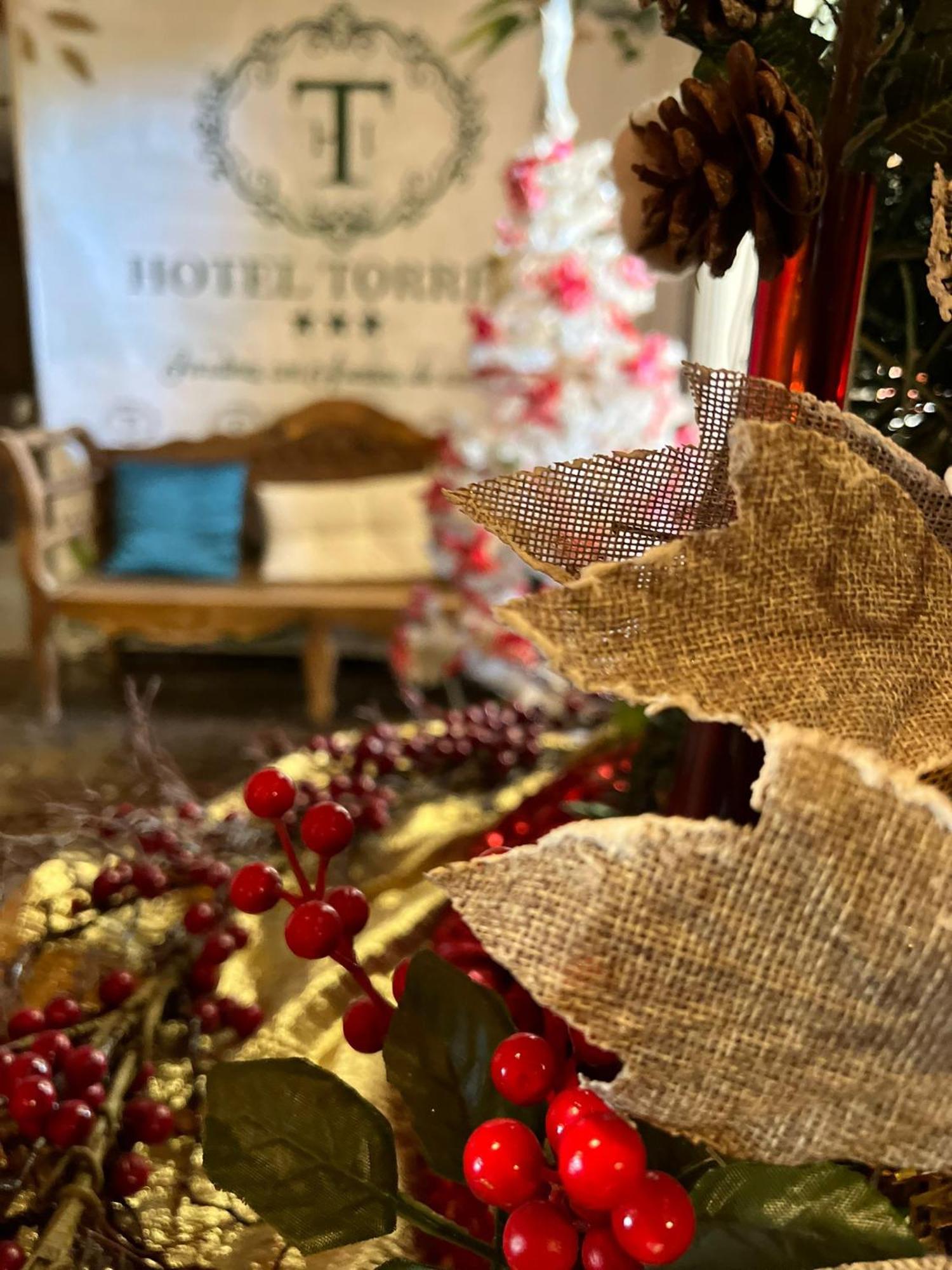 Hotel Torres I 빌라누에바 델 아르소비스포 외부 사진